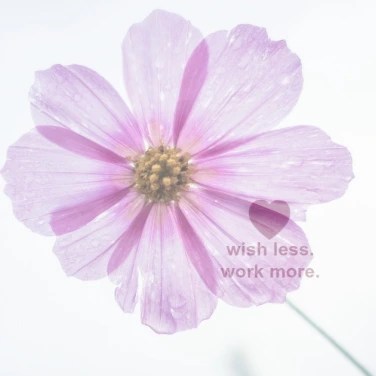 Wish Less. Work&nbsp;More.