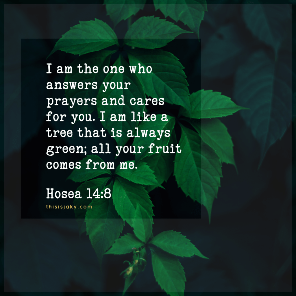 All good things come from&nbsp;above.