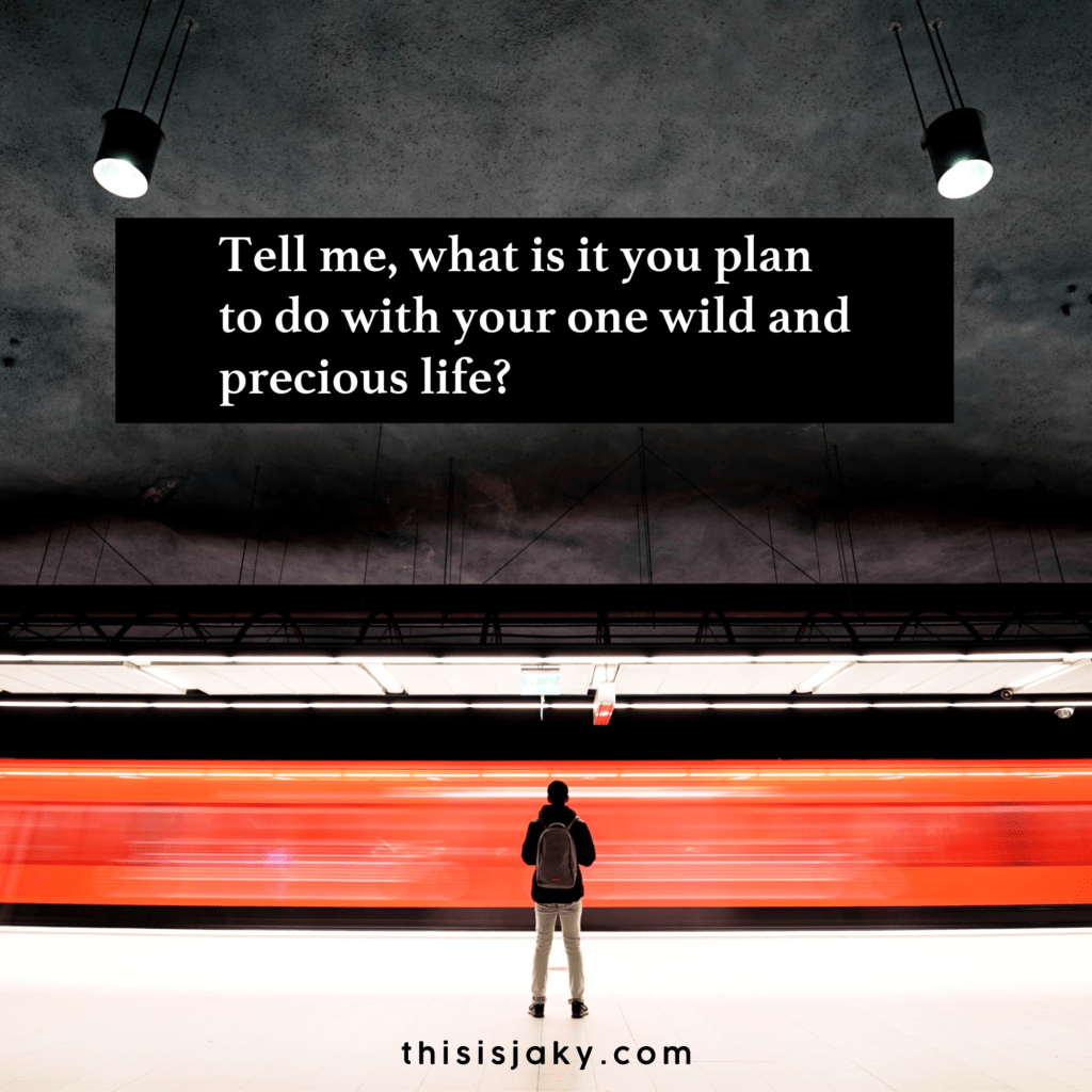 What do you plan to&nbsp;do?